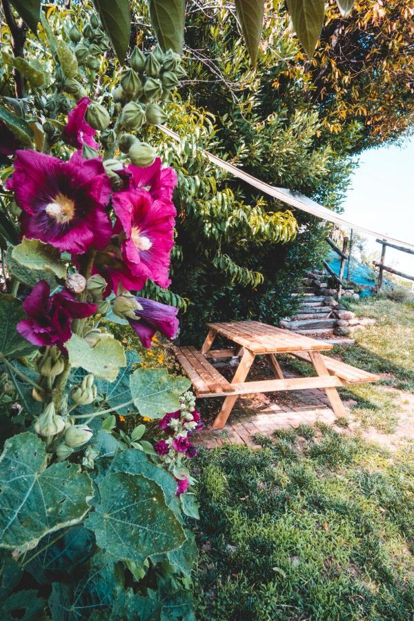 Agriturismo Dai Gobbi Villa Fara Vicentino Dış mekan fotoğraf